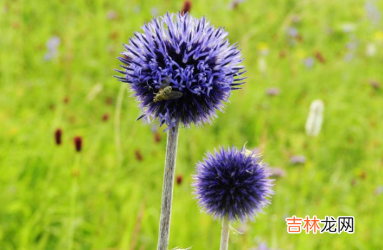 2021年9月会降温吗