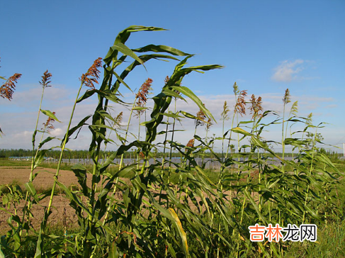 2021年9月会降温吗