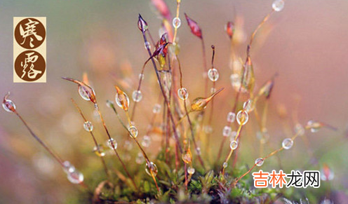 2021寒露时节的天气温度是多少