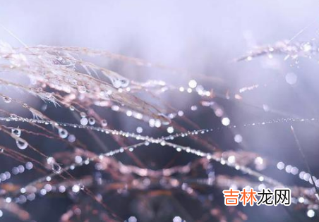 2021年寒露是几月几日几点几分
