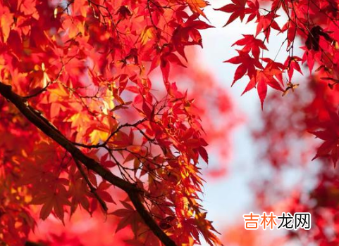 2021年寒露是几月几日几点几分