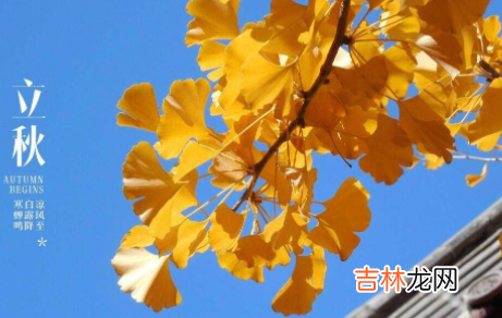 立秋是末伏的开始吗2021