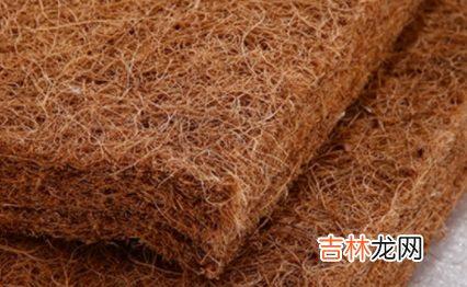 棕垫长虫子怎样消灭