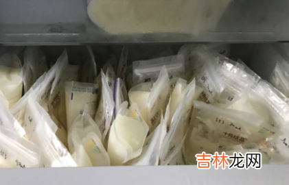 储奶袋可以和其他食物一起存放冰箱吗