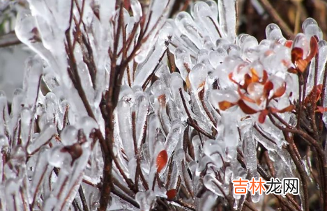 2021年寒潮什么时候结束