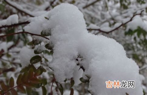 全国现在有哪些地方下雪了11月