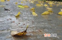 2022年大年初一会下雨吗