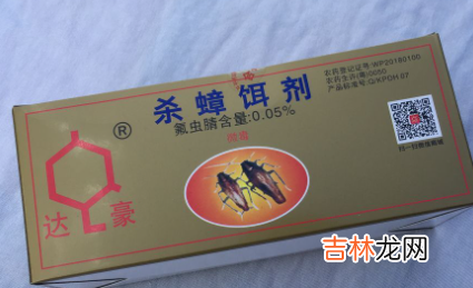 蟑螂吃了饵剂会乱爬吗