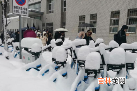 雪台风是什么意思