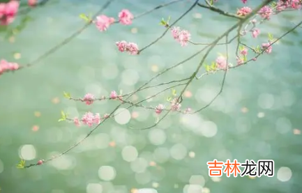 2022年打春是立春吗