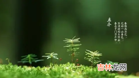 2022年打春是立春吗