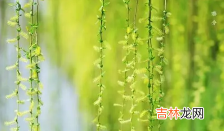 2022春分开始要晚睡晚起吗