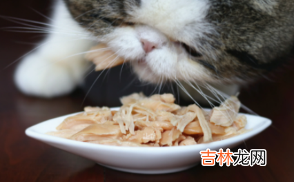 猫咪吃的鸡胸肉放盐吗