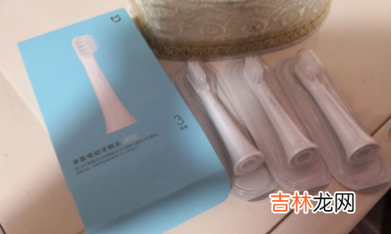 小米牙刷充不上电了是什么原因