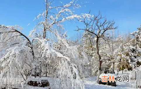 南京2022年元旦会下雪吗