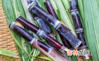 2022春节甘蔗放在门的什么地方