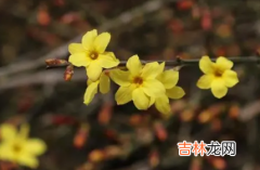 2022年广州春节花市什么时候开