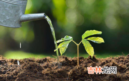 雨水可以存起来浇花吗