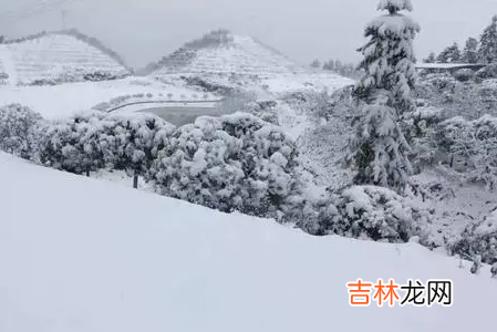 2022重庆过年会不会下雪