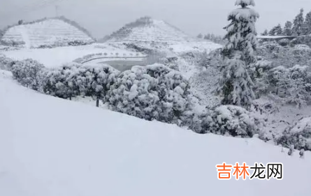 2022重庆过年会不会下雪