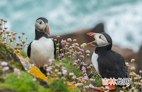 2022年立春交运时可以和属相犯冲的人一起吗