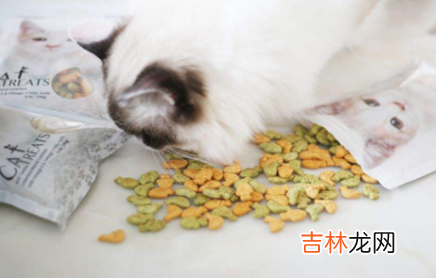 没有猫粮可以给猫咪喂什么