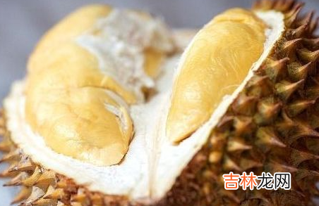 100g榴莲相当于几碗饭