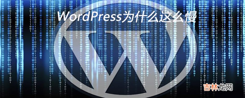 WordPress访问速度慢的原因