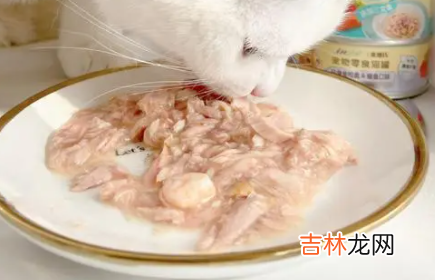 猫一点盐都不能吃吗