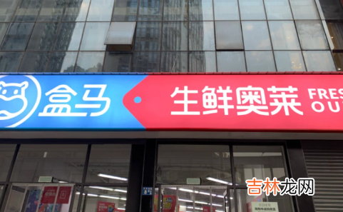 武汉盒马奥莱店在哪