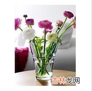 你不知道的生活常识,学会对生活很有帮助