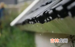 2022年雨水节气是哪一天