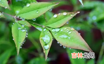 2022雨水节气会下雨吗