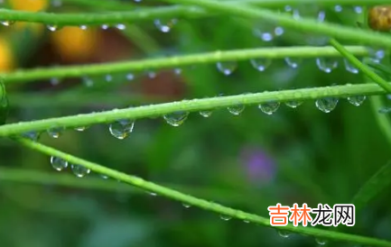 2022雨水节气会下雨吗