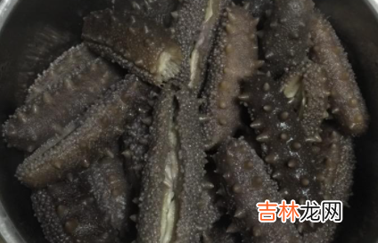 煮海参多久能熟