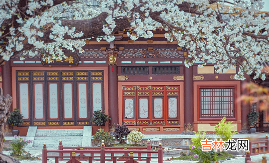 2022年1月上映的电视剧有哪些