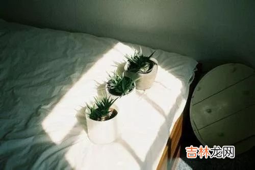 夫妻间最伤人的4句话,你听过几句?