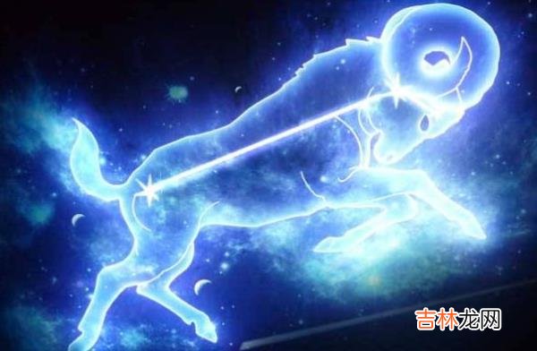 属牛的摩羯座的特点 固执聪明适合结婚