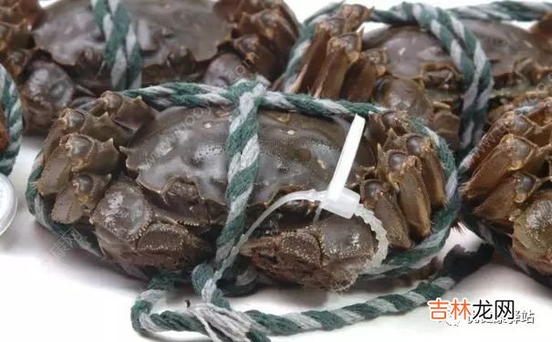 活螃蟹可以冷冻吗,吃冷冻大闸蟹注意事项