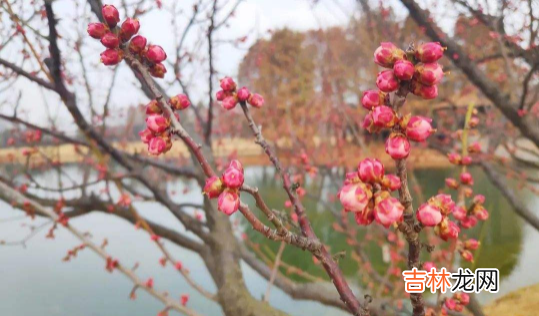 躲春的时候可以说话吗