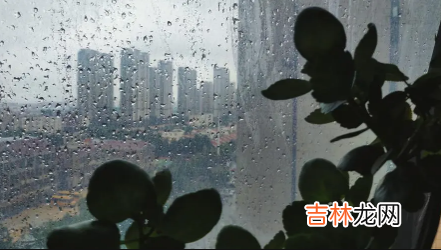 2022年厦门三月份雨水多吗