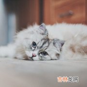 你内心的“丧”指数会很高吗？