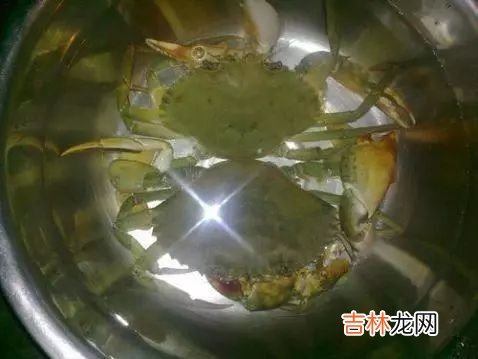 清蒸大螃蟹,活螃蟹蒸之前怎么处理?