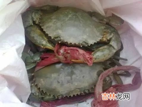 清蒸大螃蟹,活螃蟹蒸之前怎么处理?