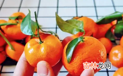 沙糖桔4号果大还是5号果大