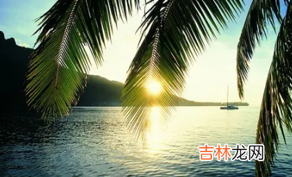 2022年的夏天从什么时候开始