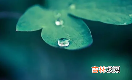 2022年雨水前一天是绝日吗