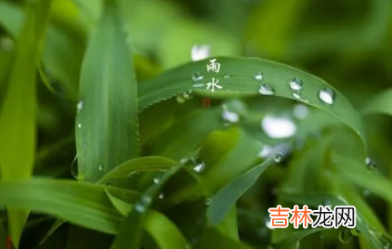 2022年雨水前一天是绝日吗