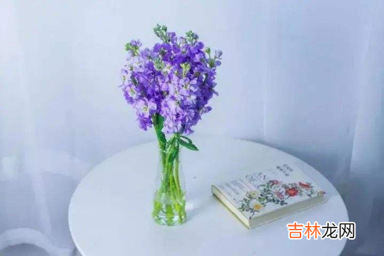 醒花可以醒一天一夜吗