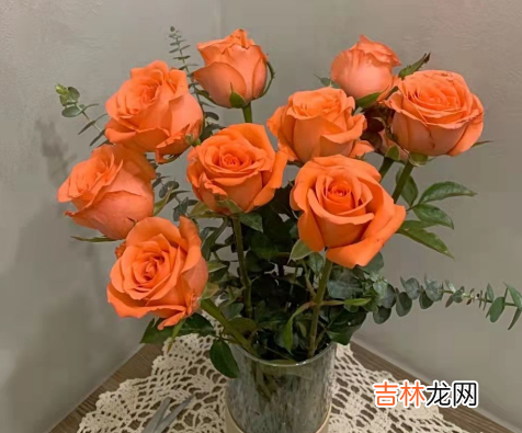 醒花可以醒一天一夜吗